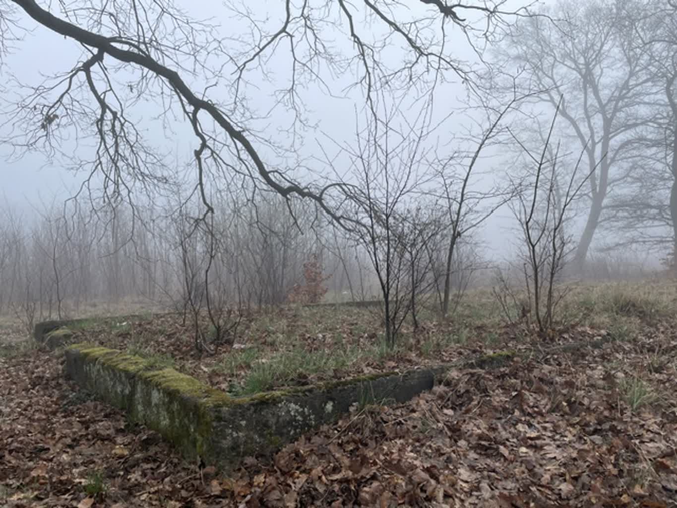 Wraca temat działki przy Urszuli – inwestor chce postawić bloki. Co na to miasto?