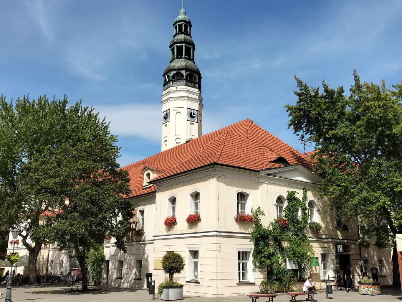 Komisja do spraw Kultury i Promocji – R. Kasza o zadaniach