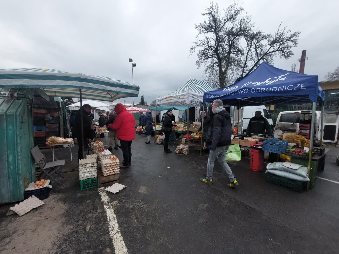 Świąteczne zakupy na targowisku przy ul. Owocowej [ZDJĘCIA]
