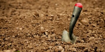 zdjęcie ilustracyjne/Pixabay