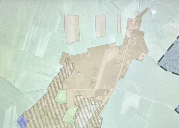 fot. Aurelia Adaszyńska