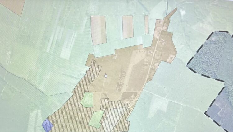 fot. Aurelia Adaszyńska