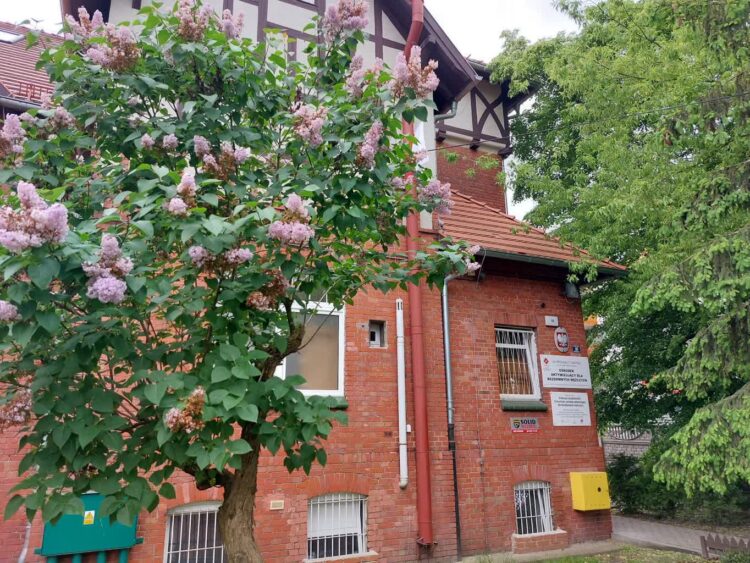 archiwum RZG fot: Z.Popielecka