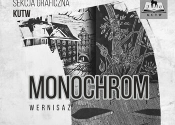 zdjęcie ilustracyjne/ZOK