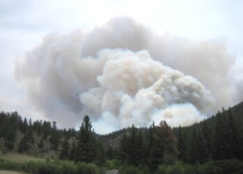 zdjęcie ilustracyjne/Pixabay