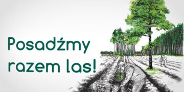 materiał organizatorów