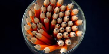 zdjęcie ilustracyjne/Pixabay