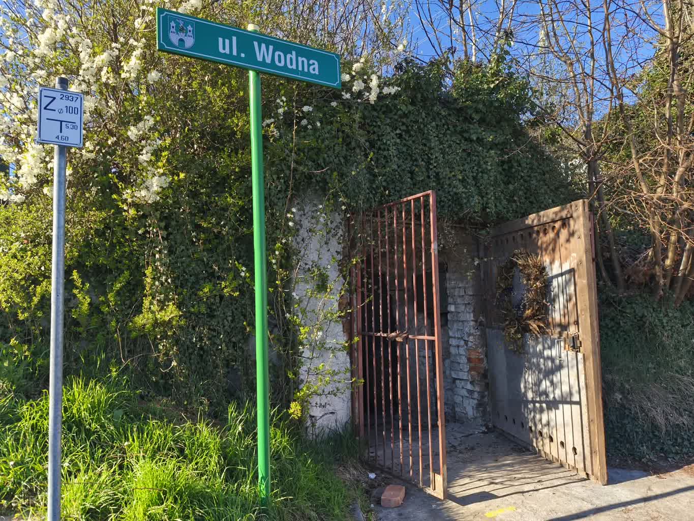 Piwnica winiarska na ul. Wodnej – Skarby Zielonej Góry #83