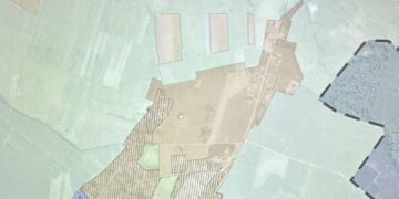 fot. Aurelia Adaszyńska