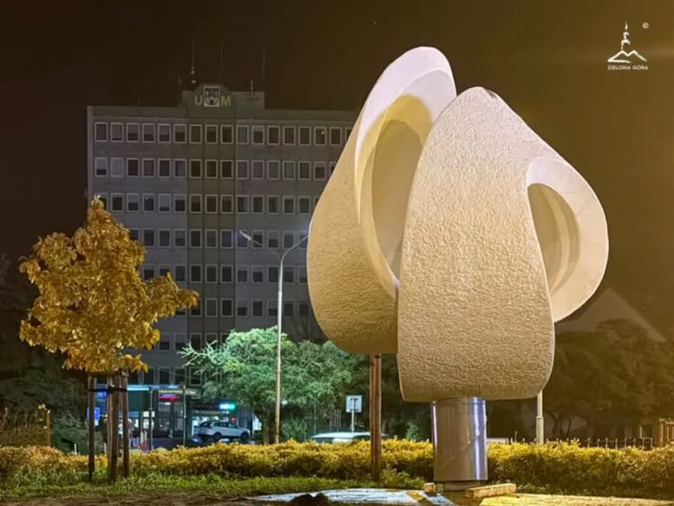 fot. UZ Zielona Góra