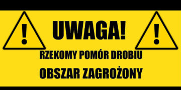 fot. UM Zielona Góra