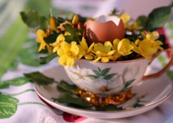 zdjęcie ilustracyjne/Pixabay