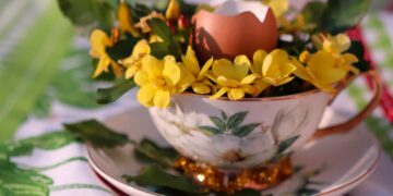 zdjęcie ilustracyjne/Pixabay