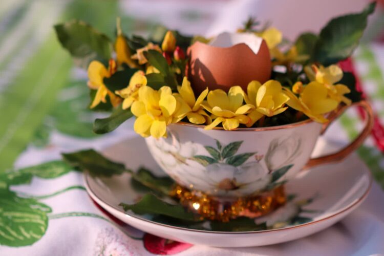 zdjęcie ilustracyjne/Pixabay