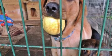 fot. Aurelia Adaszyńska