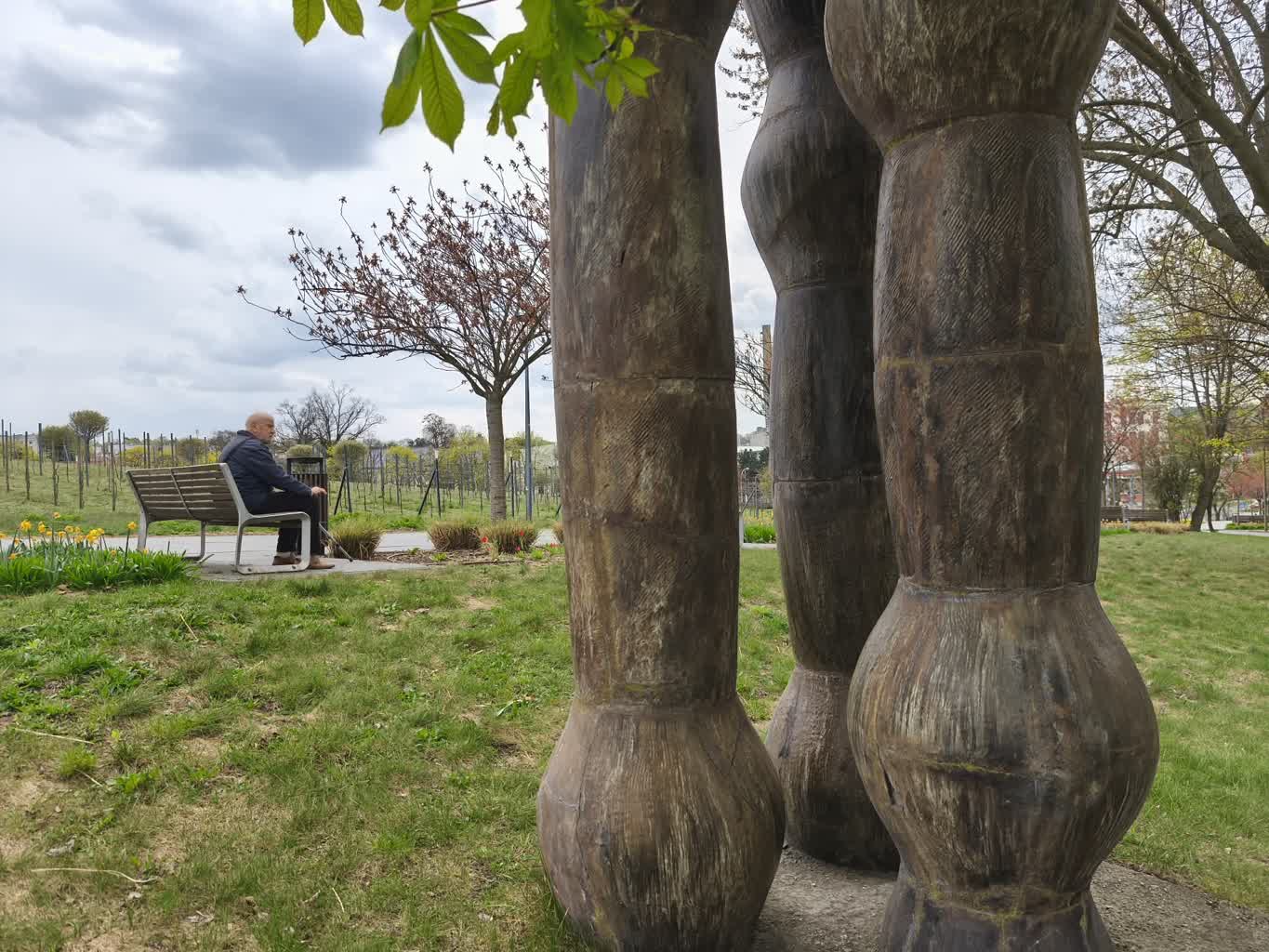 Wzrastanie I – Skarby Zielonej Góry #84