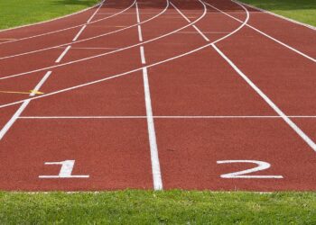 zdjęcie ilustracyjne/Pixabay