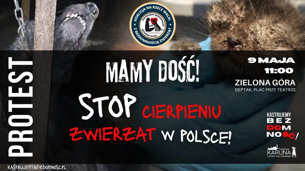 zdjęcie ilustracyjne/Facebook