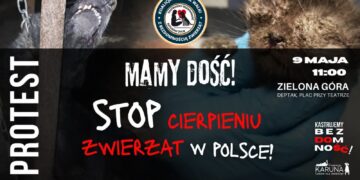 zdjęcie ilustracyjne/Facebook