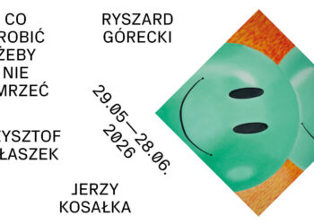 zdjęcie ilustracyjne/BWA