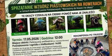 materiały organizatora