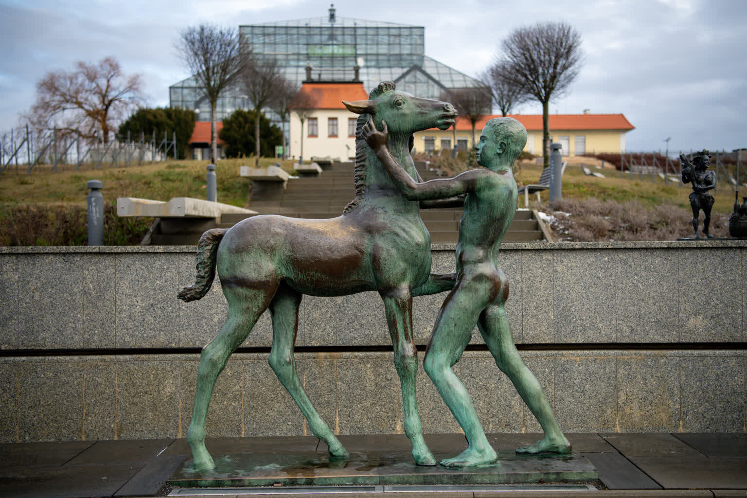 Konik przy Palmiarni – petycja o zwrot
