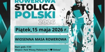 materiały organizatora