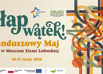 zdjęcie ilustracyjne/MZL