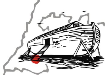 zdjęcie ilustracyjne/Fundacja Arka
