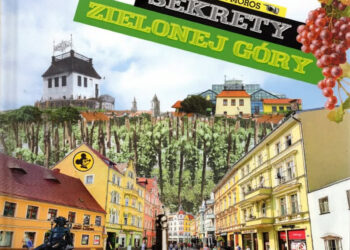 zdjęcie ilustracyjne/MZL w Zielonej Górze