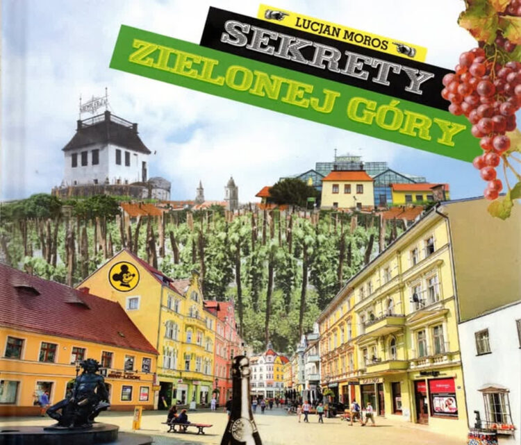 zdjęcie ilustracyjne/MZL w Zielonej Górze