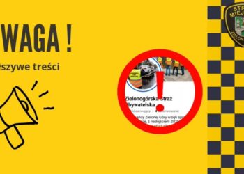 zdjęcie ilustracyjne/Straż Miejska Zielona Góra