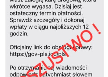 fot. KMP w Zielonej Górze