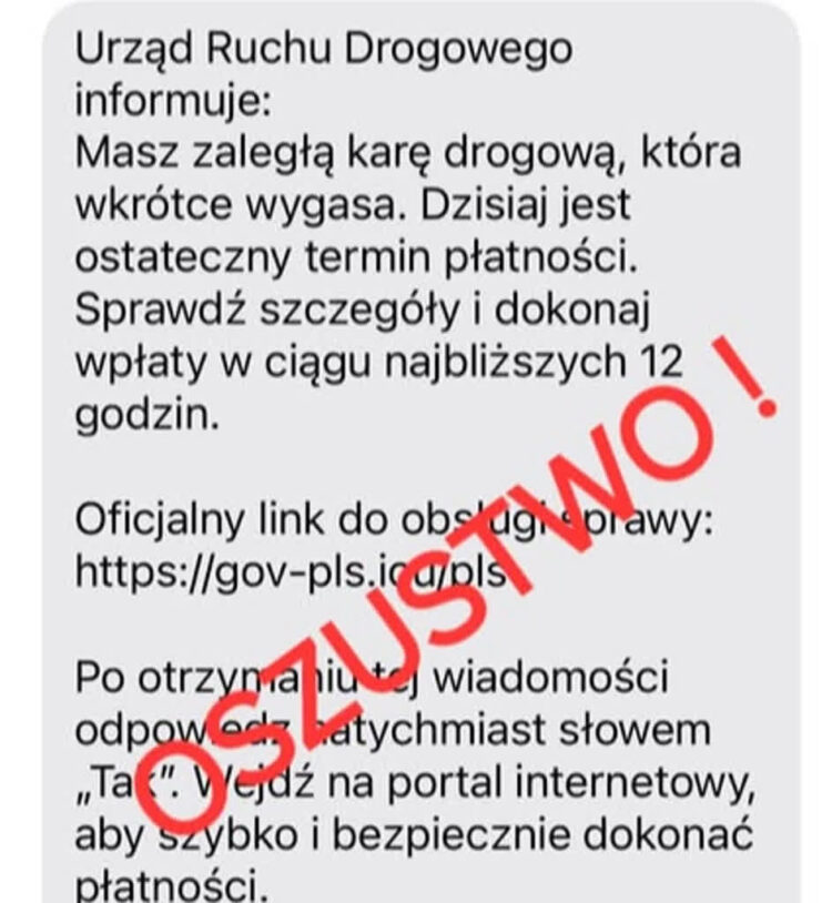 fot. KMP w Zielonej Górze