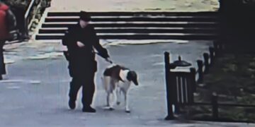 fot. zielona-gora.policja.gov.pl