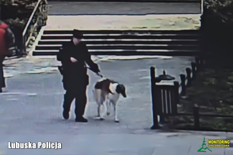 fot. zielona-gora.policja.gov.pl
