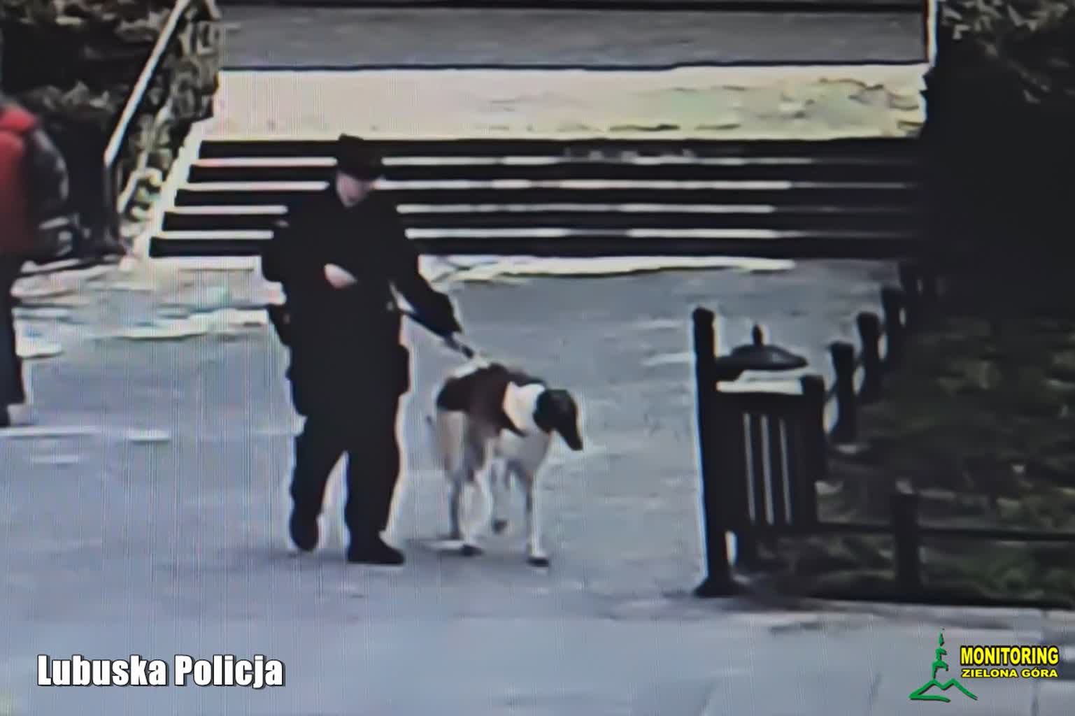 Policja uratowała psa z nagrzanego samochodu w centrum Zielonej Góry