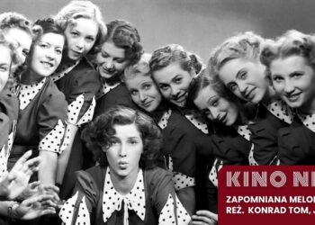 materiały organizatora