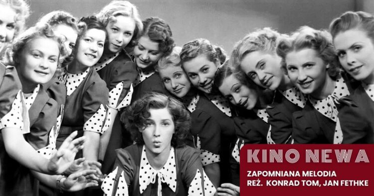 materiały organizatora