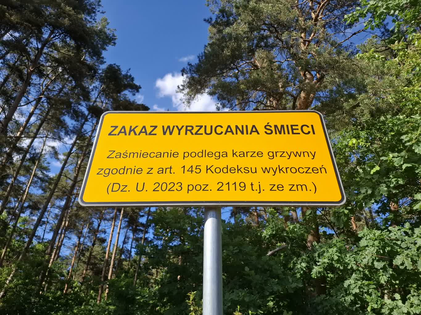 Odpady w lasach za prawie 2 miliony złotych