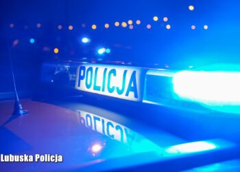 Policja - zdjęcie ilustracyjne