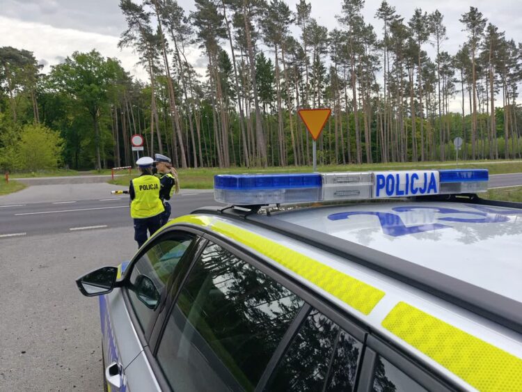 fot. KMP w Zielonej Górze