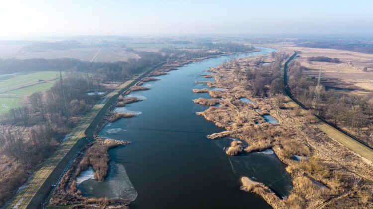 Odra, styczeń 2026 fot. K. Filmanowicz