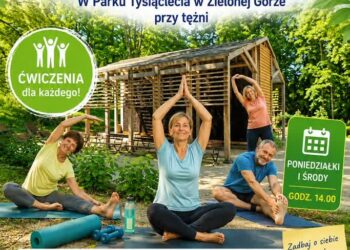 materiał organizatorów