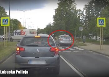 fot. KMP w Zielonej Górze