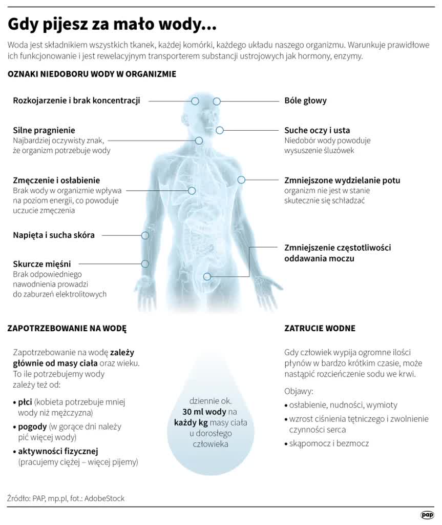 igrafika_20260625_10.png.webp