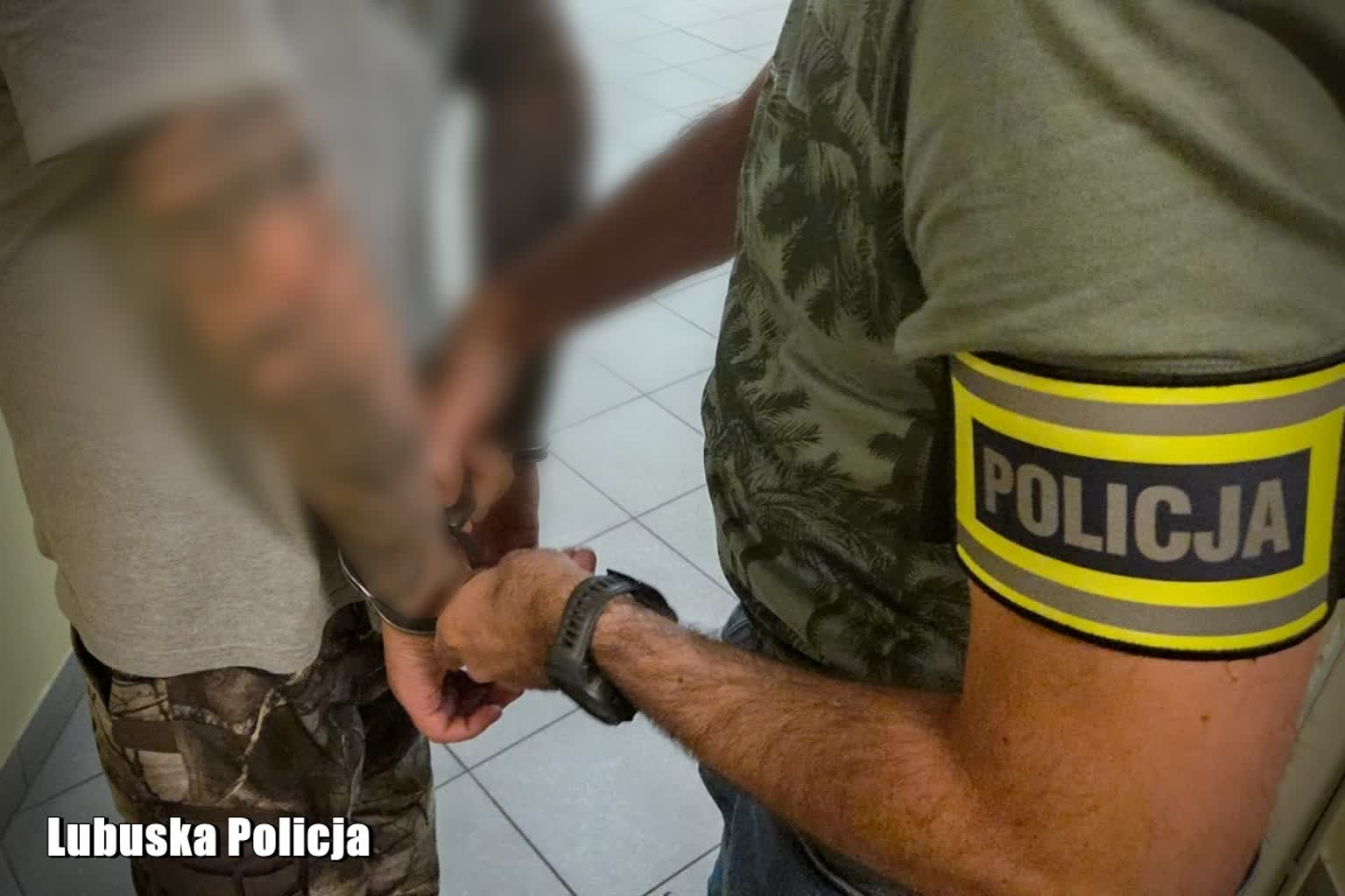 Nielegalna plantacja konopi zlikwidowana pod Zieloną Górą. Trzech mężczyzn zostało zatrzymanych.