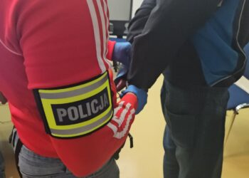 fot. KMP w Zielonej Górze