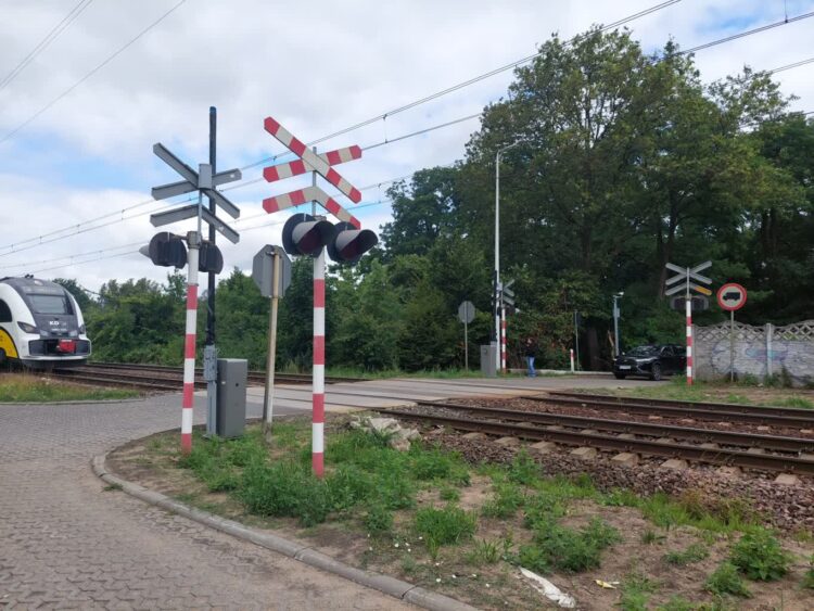 fot: P.Kozubaj
