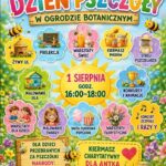 materiał organizatorów